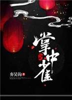 掌中之物小说免费阅读全文